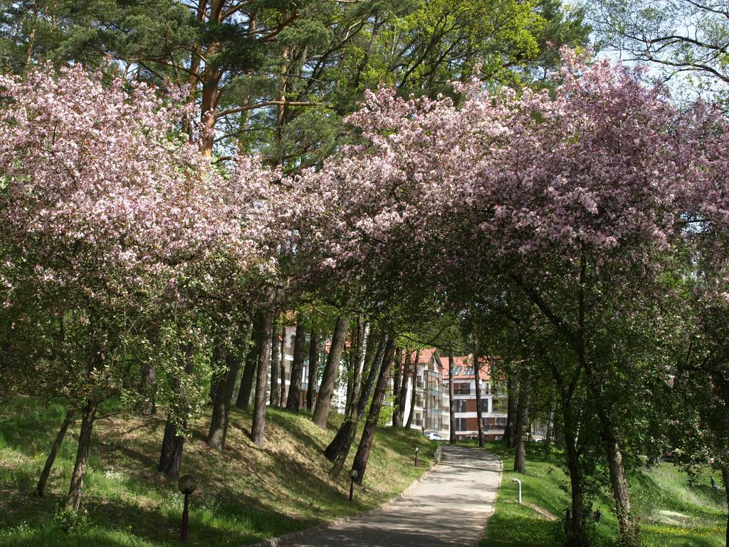 Hotel Kormoran Mierki Zewnętrze zdjęcie